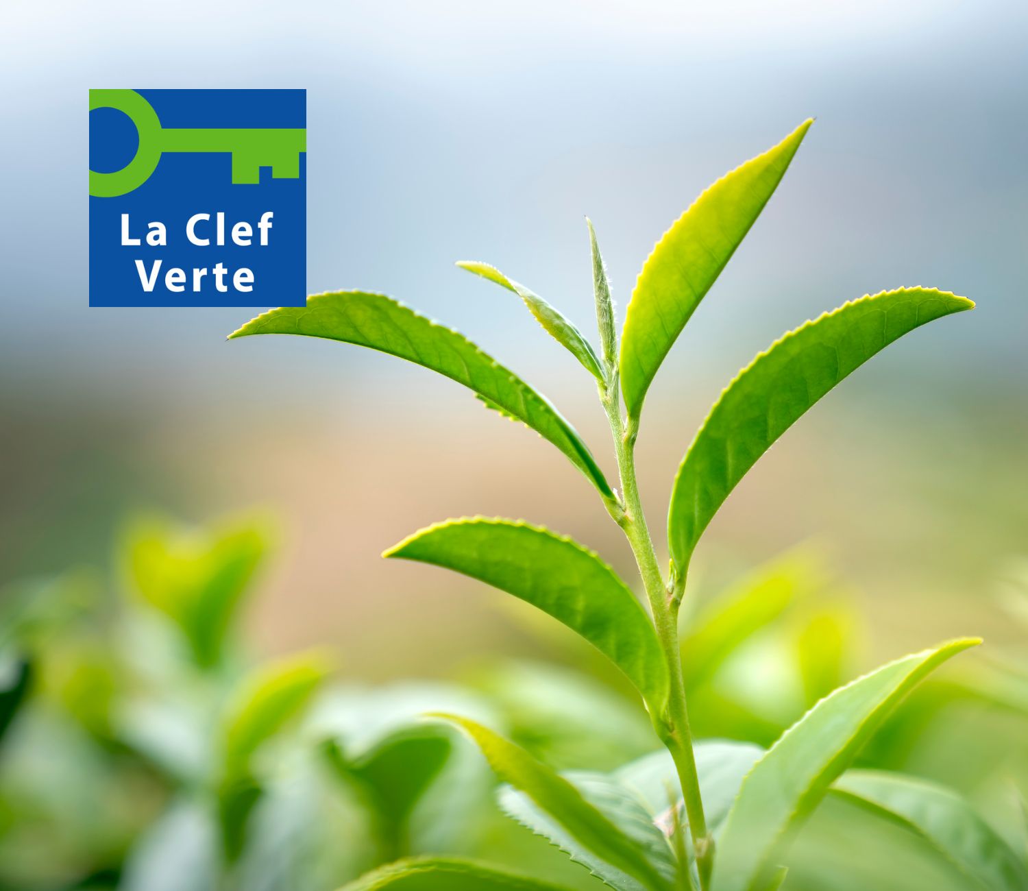 Clef Verte : valorisez vos engagements durables